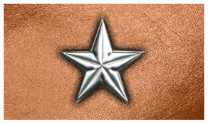 DNSEMP-C-430-SL-CP Star Silver-Copper